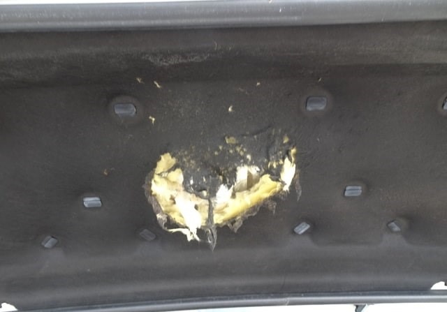 LAND ROVER ROVER RANGE ROVER EVOQUE PRESTIGE 2013/1